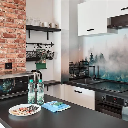 Starolecka With Mezzanine Poznan