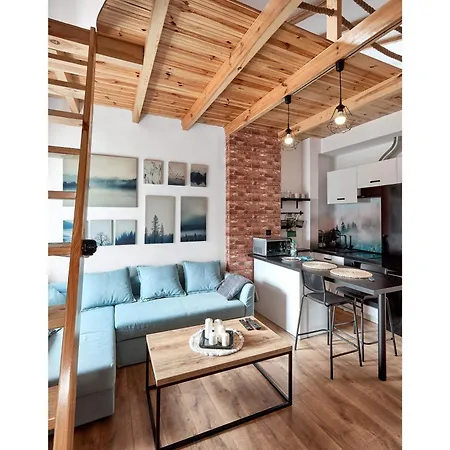 Starolecka With Mezzanine Appartement *