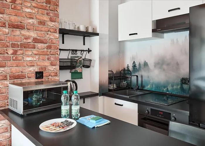 Starolecka With Mezzanine Poznan